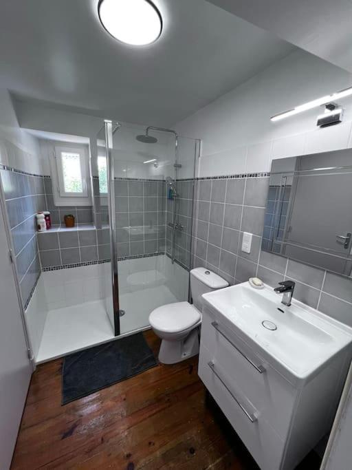 Charmante Maison Renovee Nerac Luaran gambar